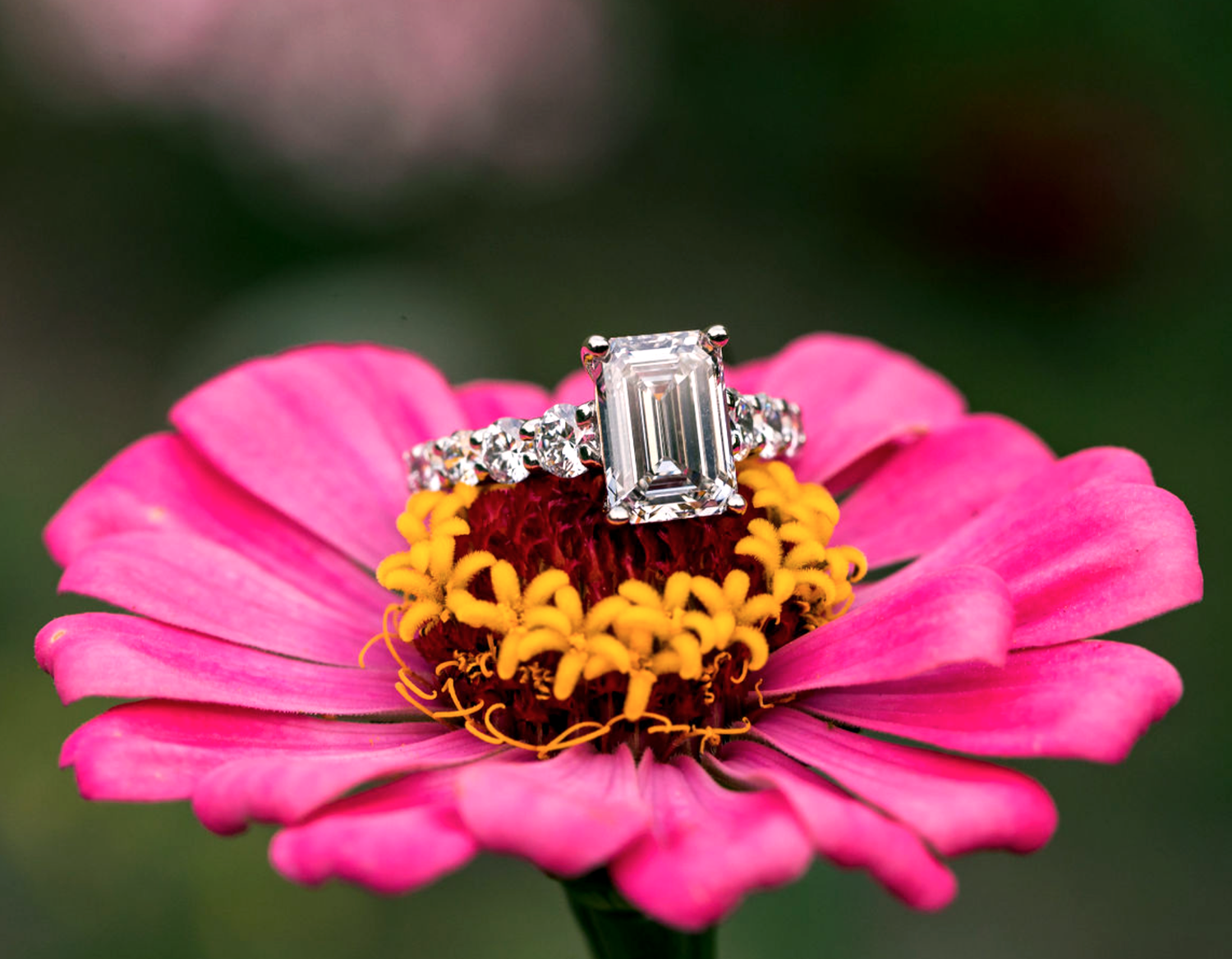 a custom emerald cut diamond ring on a pink flower