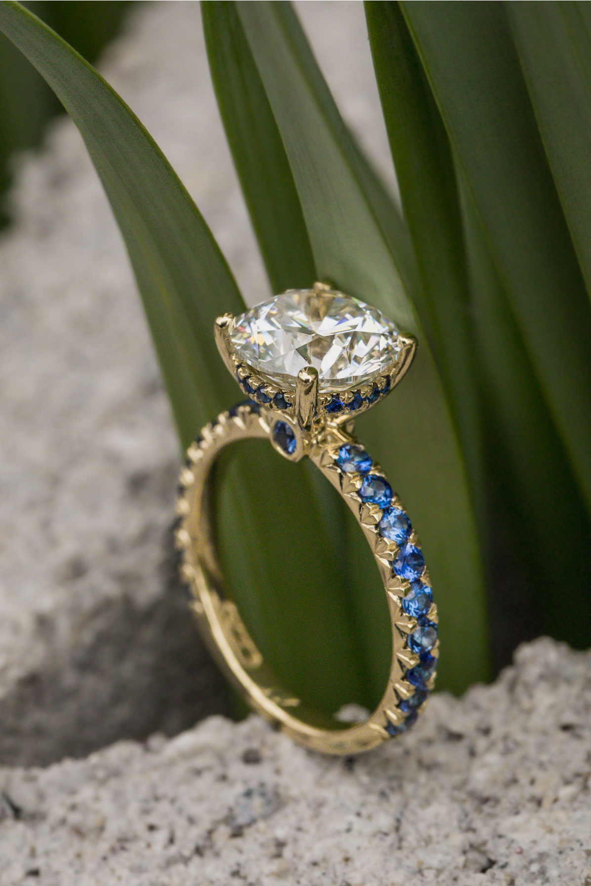 A hidden halo ring with sapphire accents